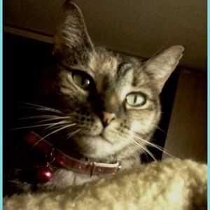 Meet your Posher, Crystal